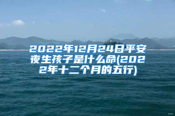 2022年12月24日平安夜生孩子是什么命(2022年十二个月的五行)