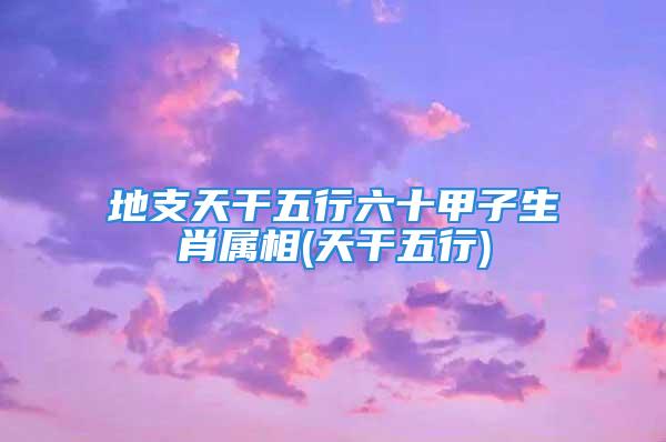 地支天干五行六十甲子生肖属相(天干五行)