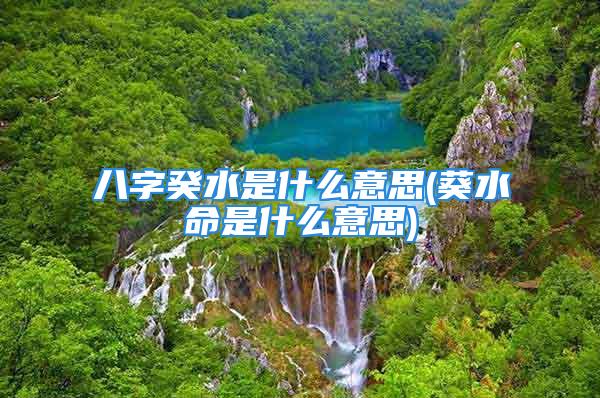 八字癸水是什么意思(葵水命是什么意思)
