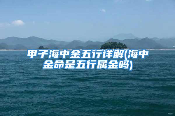 甲子海中金五行详解(海中金命是五行属金吗)