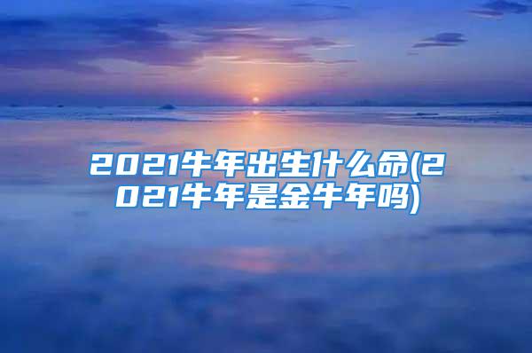 2021牛年出生什么命(2021牛年是金牛年吗)