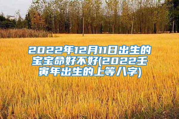 2022年12月11日出生的宝宝命好不好(2022壬寅年出生的上等八字)