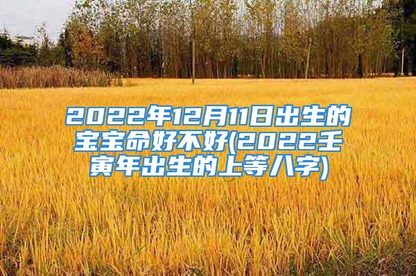 2022年12月11日出生的宝宝命好不好(2022壬寅年出生的上等八字)