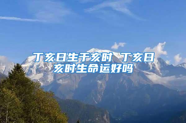 丁亥日生于亥时 丁亥日亥时生命运好吗