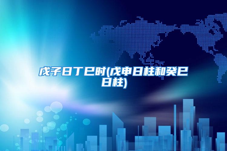 戊子日丁巳时(戊申日柱和癸巳日柱)