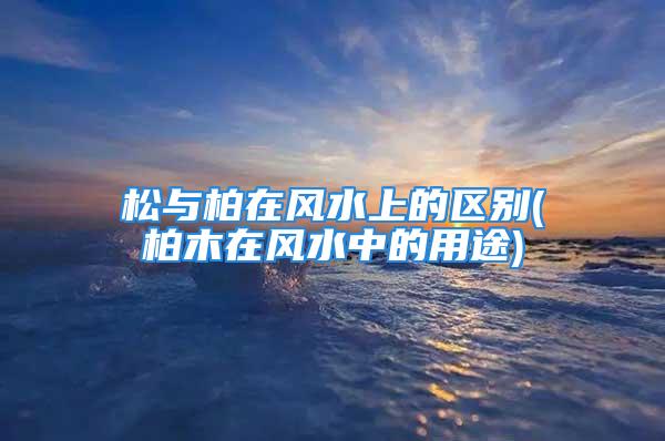 松与柏在风水上的区别(柏木在风水中的用途)