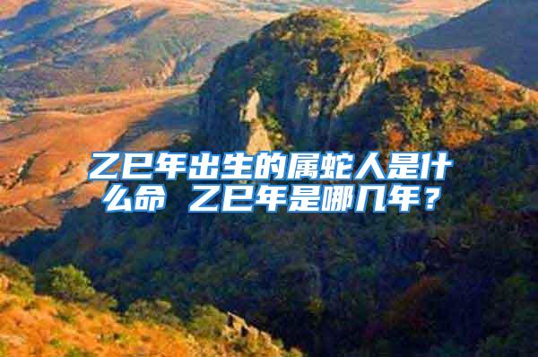 乙巳年出生的属蛇人是什么命 乙巳年是哪几年？