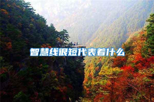 智慧线很短代表着什么
