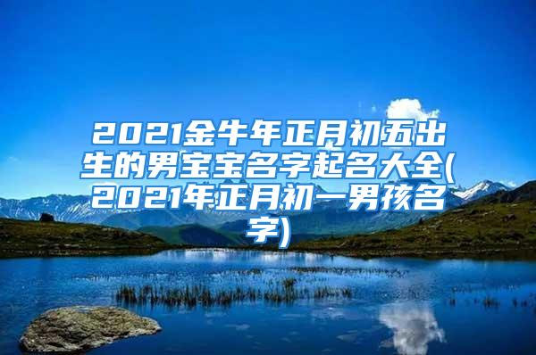 2021金牛年正月初五出生的男宝宝名字起名大全(2021年正月初一男孩名字)