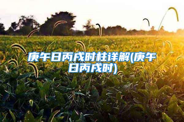 庚午日丙戌时柱详解(庚午日丙戌时)