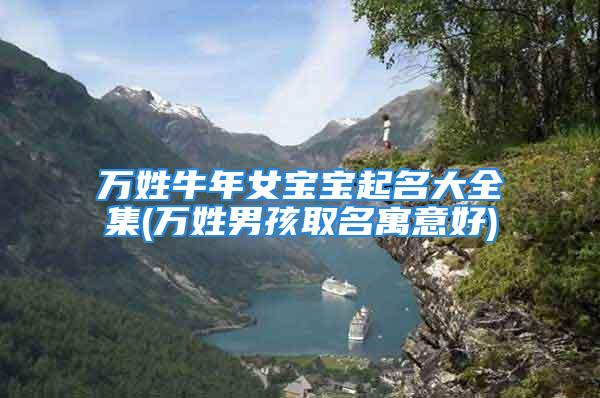 万姓牛年女宝宝起名大全集(万姓男孩取名寓意好)