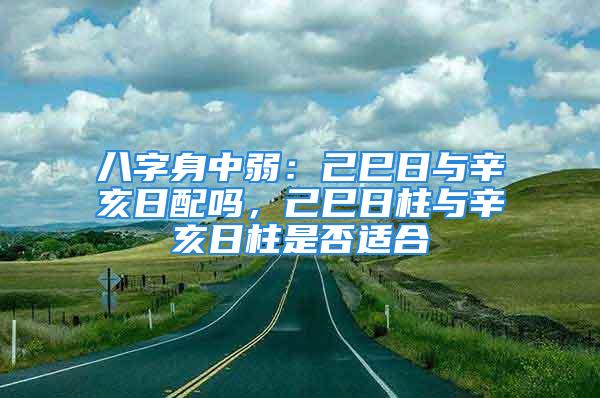 八字身中弱：己巳日与辛亥日配吗，己巳日柱与辛亥日柱是否适合