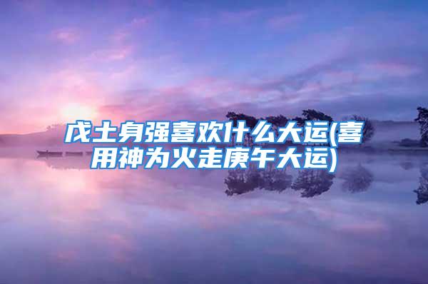 戊土身强喜欢什么大运(喜用神为火走庚午大运)