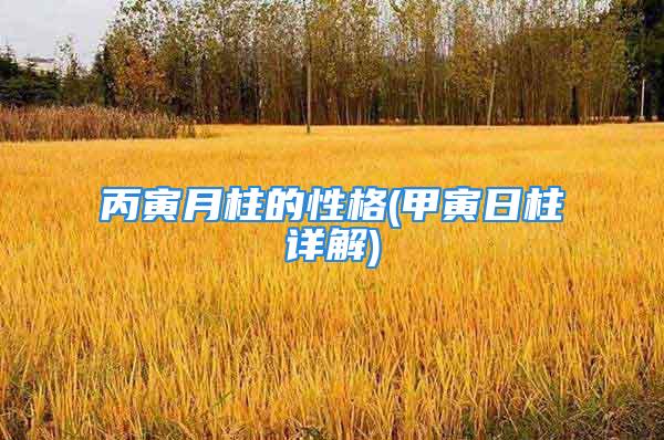丙寅月柱的性格(甲寅日柱详解)