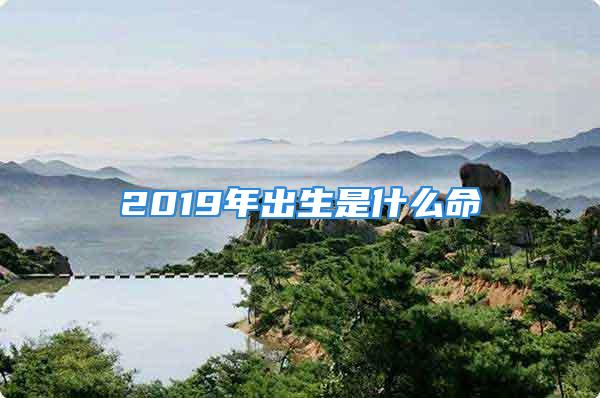 2019年出生是什么命