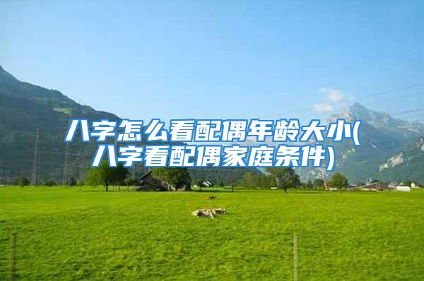 八字怎么看配偶年龄大小(八字看配偶家庭条件)