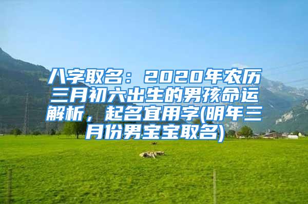 八字取名：2020年农历三月初六出生的男孩命运解析，起名宜用字(明年三月份男宝宝取名)