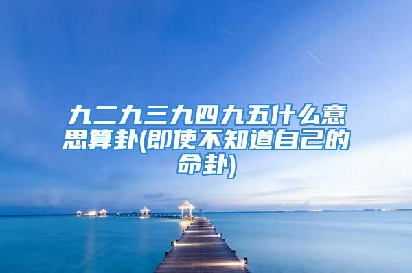 九二九三九四九五什么意思算卦(即使不知道自己的命卦)