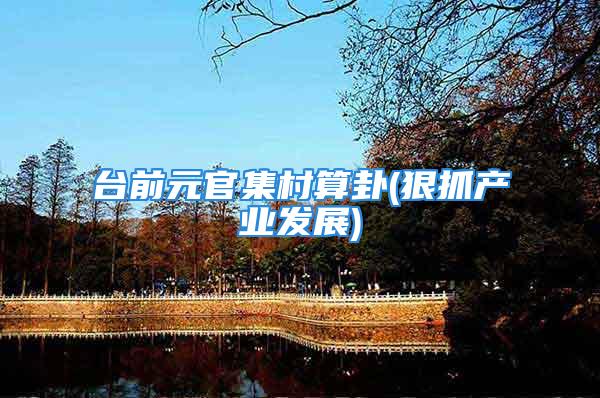 台前元官集村算卦(狠抓产业发展)