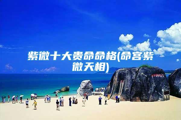 紫微十大贵命命格(命宫紫微天相)