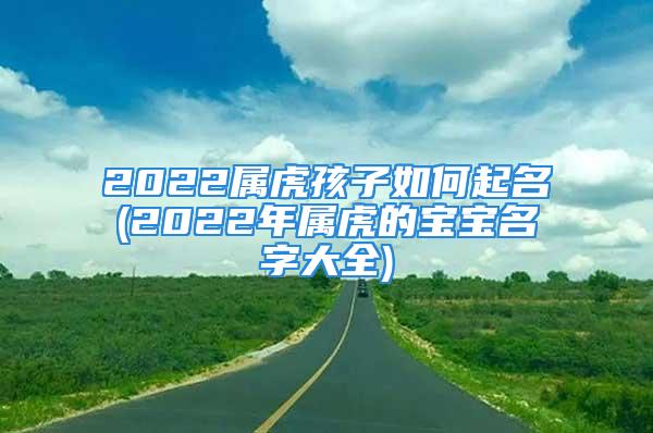 2022属虎孩子如何起名(2022年属虎的宝宝名字大全)