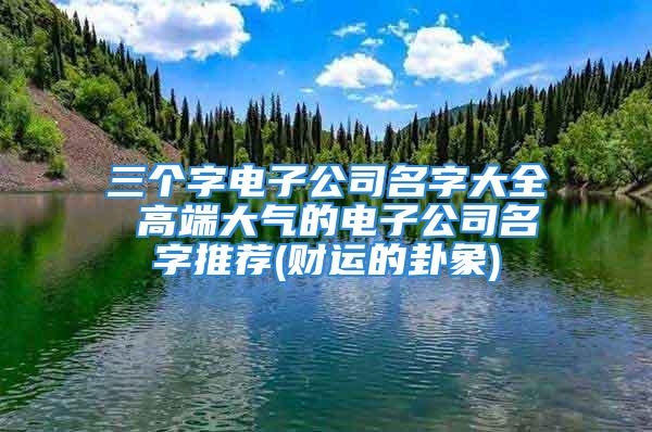 三个字电子公司名字大全 高端大气的电子公司名字推荐(财运的卦象)