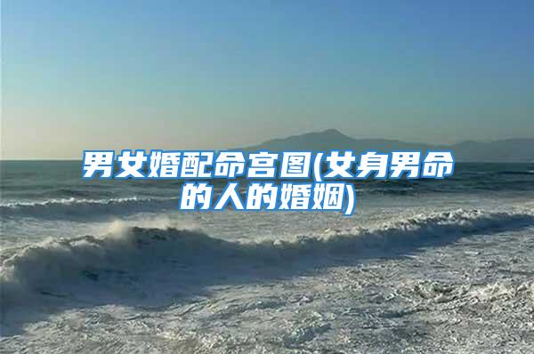 男女婚配命宫图(女身男命的人的婚姻)