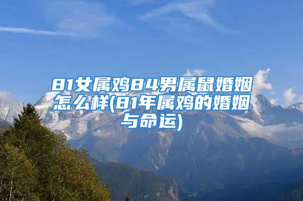 81女属鸡84男属鼠婚姻怎么样(81年属鸡的婚姻与命运)