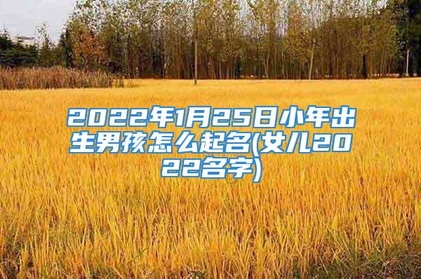 2022年1月25日小年出生男孩怎么起名(女儿2022名字)