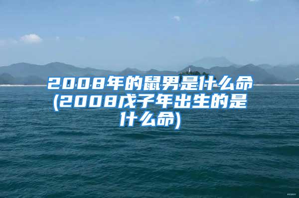 2008年的鼠男是什么命(2008戊子年出生的是什么命)