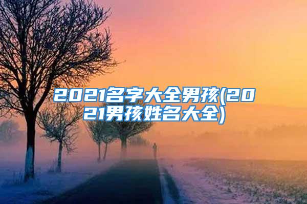 2021名字大全男孩(2021男孩姓名大全)