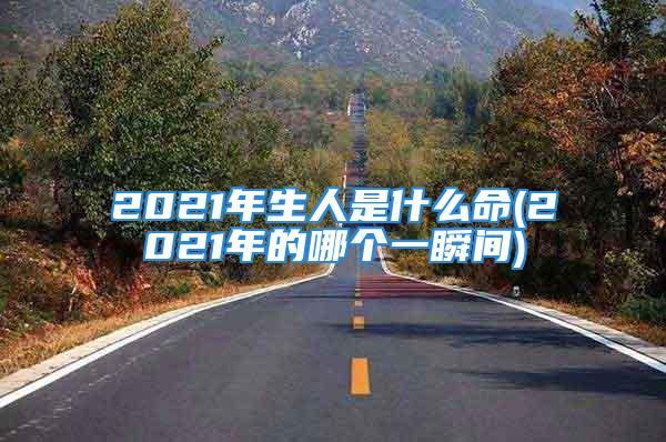 2021年生人是什么命(2021年的哪个一瞬间)