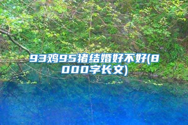 93鸡95猪结婚好不好(8000字长文)