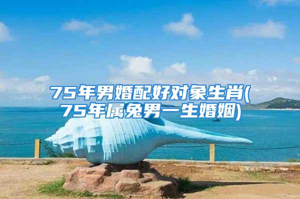 75年男婚配好对象生肖(75年属兔男一生婚姻)