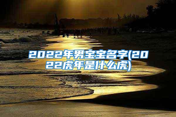 2022年男宝宝名字(2022虎年是什么虎)