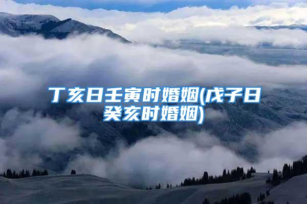 丁亥日壬寅时婚姻(戊子日癸亥时婚姻)
