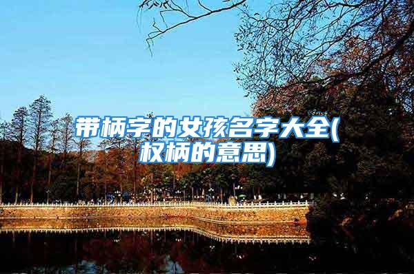 带柄字的女孩名字大全(权柄的意思)