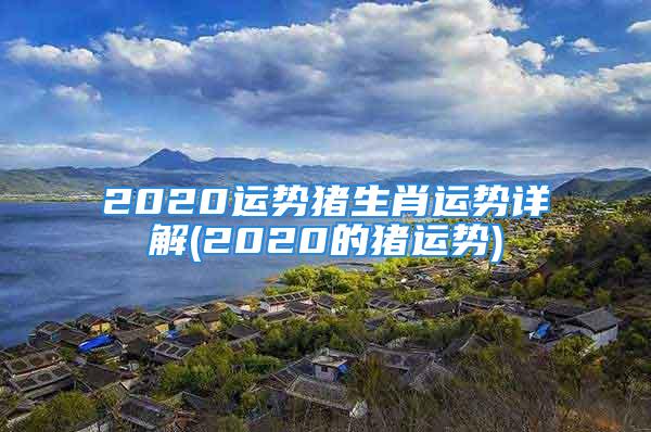 2020运势猪生肖运势详解(2020的猪运势)