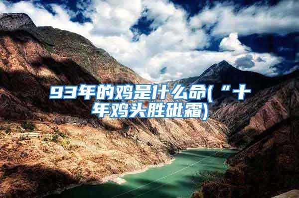 93年的鸡是什么命(“十年鸡头胜砒霜)