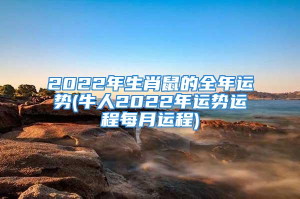 2022年生肖鼠的全年运势(牛人2022年运势运程每月运程)