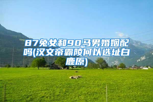 87兔女和90马男婚姻配吗(汉文帝霸陵何以选址白鹿原)