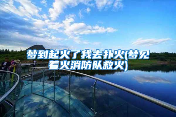 梦到起火了我去扑火(梦见着火消防队救火)