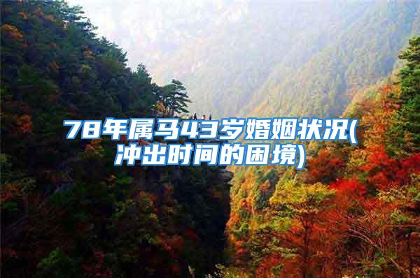 78年属马43岁婚姻状况(冲出时间的困境)