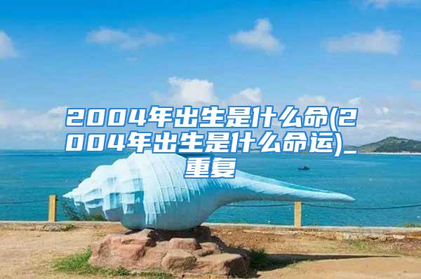 2004年出生是什么命(2004年出生是什么命运)_重复