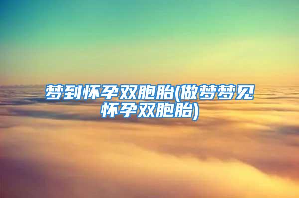 梦到怀孕双胞胎(做梦梦见怀孕双胞胎)