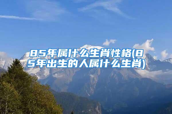 85年属什么生肖性格(85年出生的人属什么生肖)