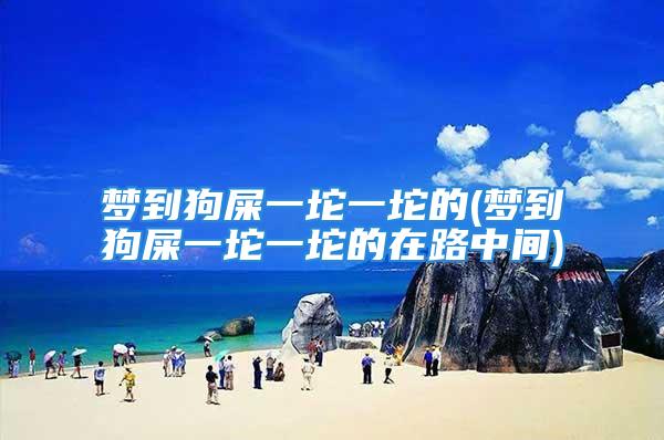 梦到狗屎一坨一坨的(梦到狗屎一坨一坨的在路中间)