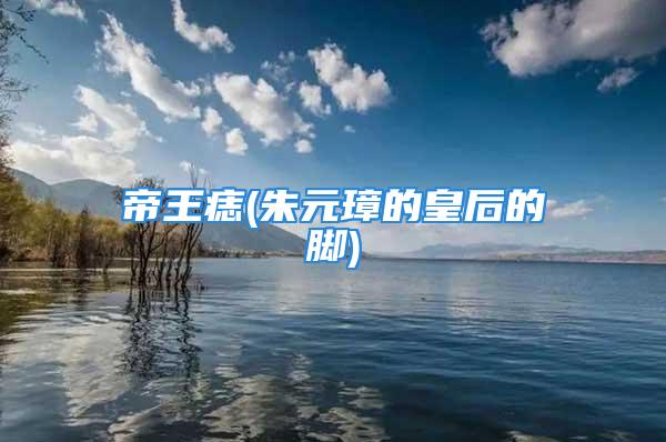 帝王痣(朱元璋的皇后的脚)