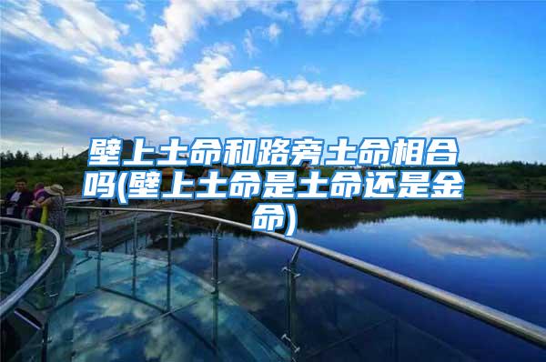 壁上土命和路旁土命相合吗(壁上土命是土命还是金命)
