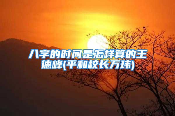 八字的时间是怎样算的王德峰(平和校长万玮)
